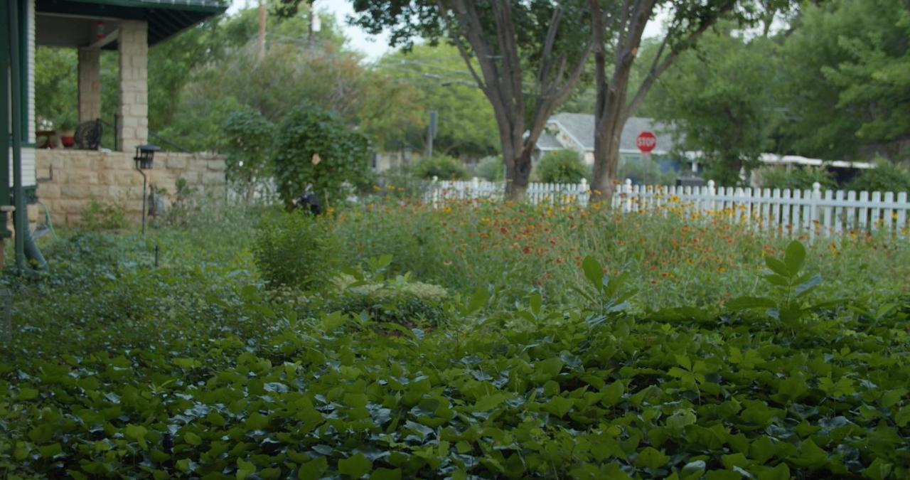 Granbury Gardens Bed And Breakfast 外观 照片