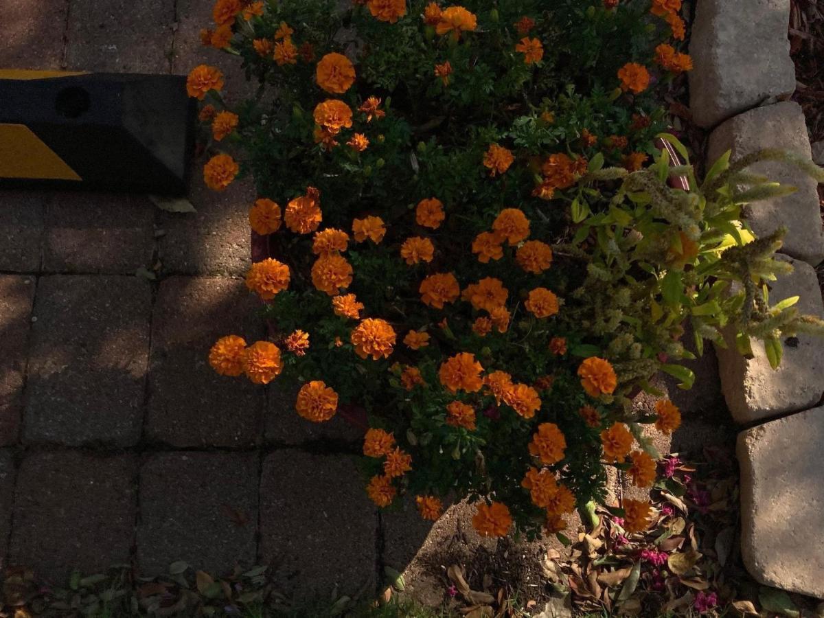 Granbury Gardens Bed And Breakfast 外观 照片